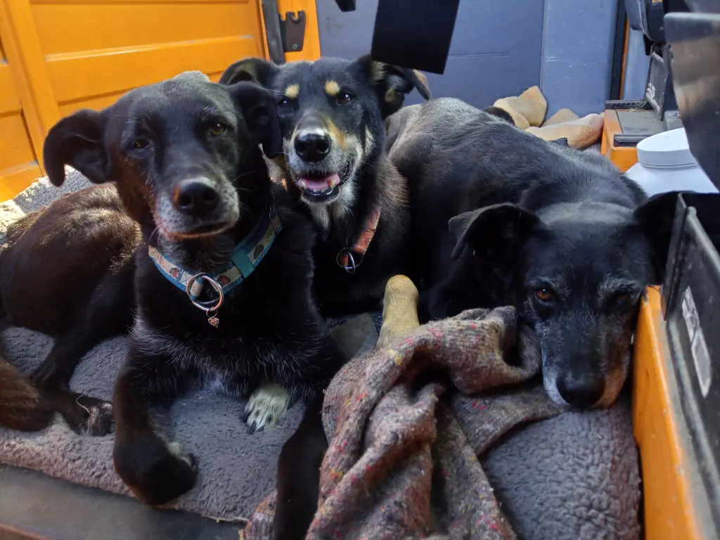 Du mit Deiner besten Freundin Zebosha (re) und  Satya (li)