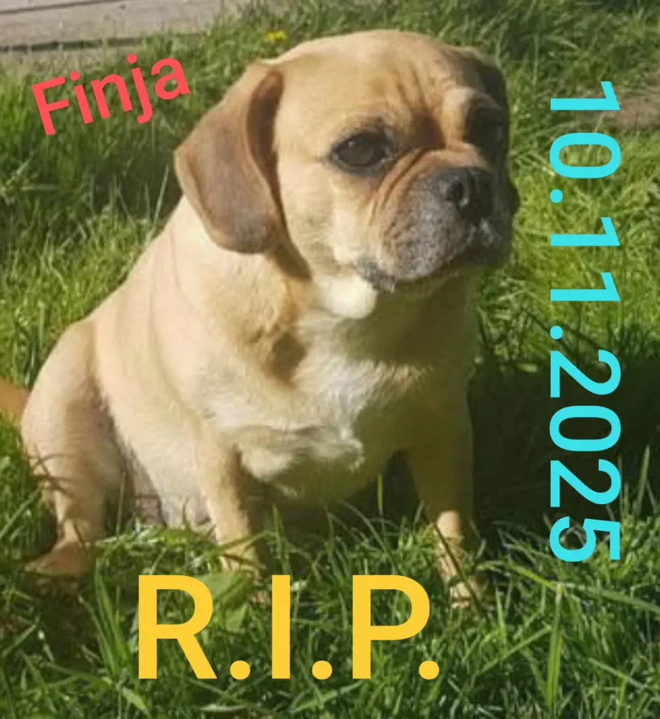 Andachtsbild von RanonaMike Kaiser