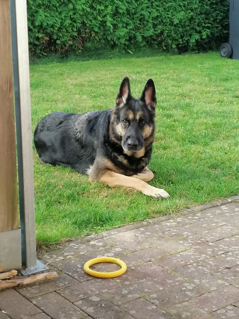 Relaxen