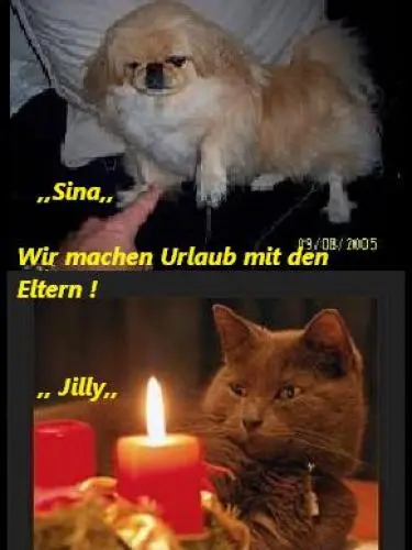 Image from Sina und Jilly , Urlaubskinder