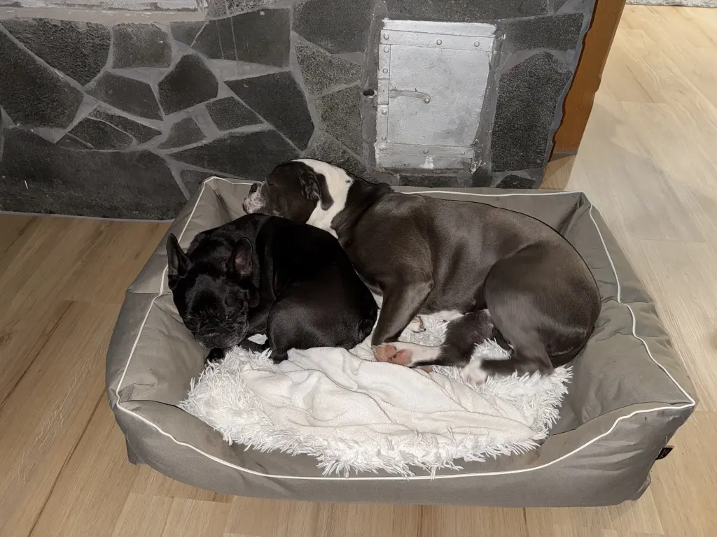 Andachtsbild von Deine Nouki mit Luca, Mayla, Aaliyah & der Rest der Family ❤️ Finkes