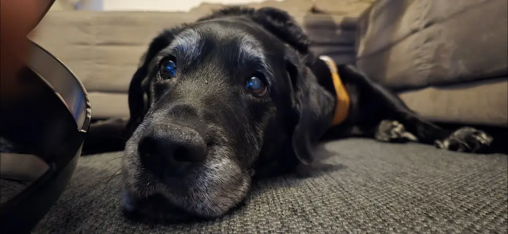 Andachtsbild von Marlon Hartmann