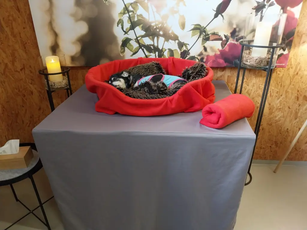 Andachtsbild von Willi Bachmann