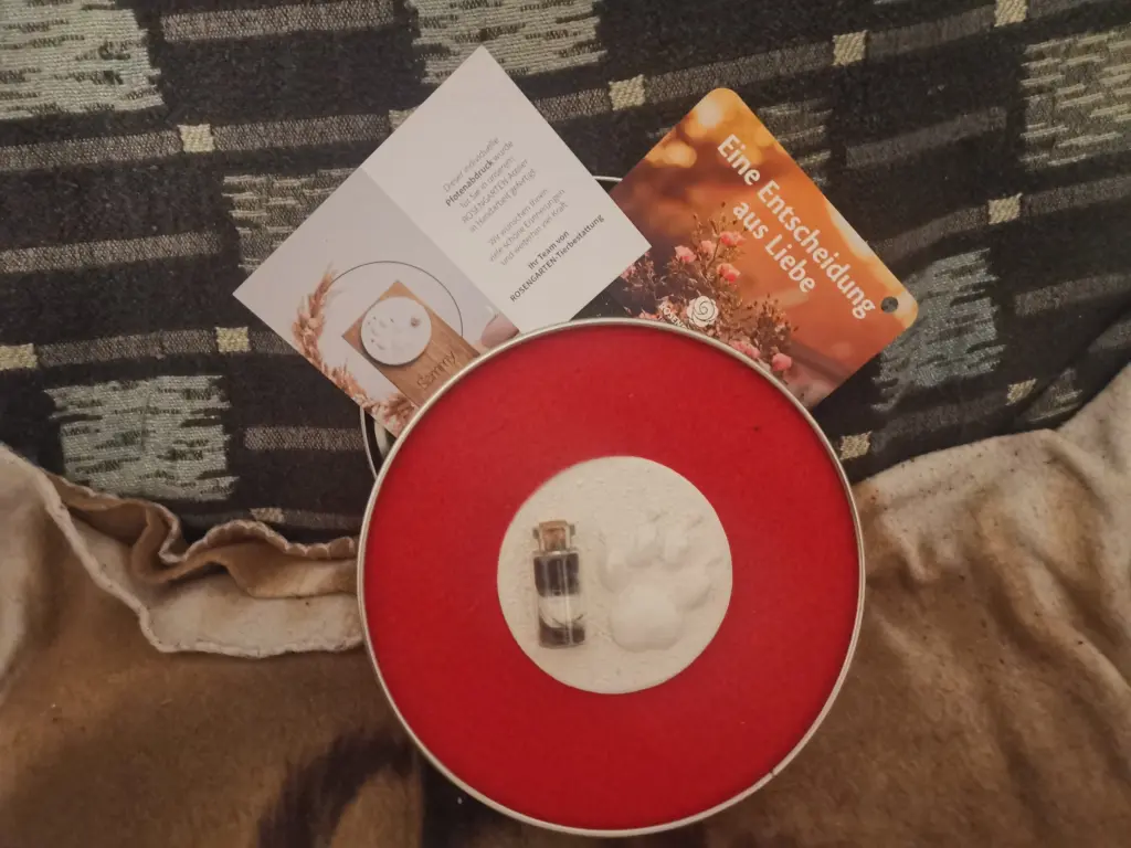 🌹 Max-Pfoten Kralle 🌟🐾💕