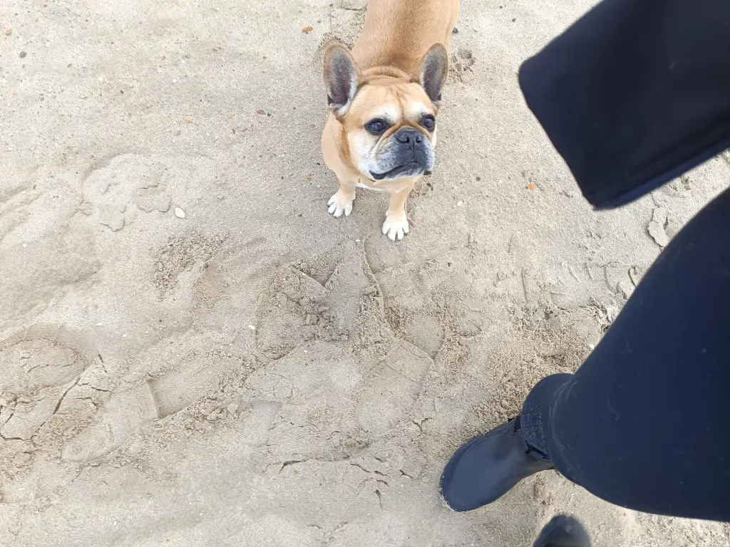 Andachtsbild von Jessica Schoof