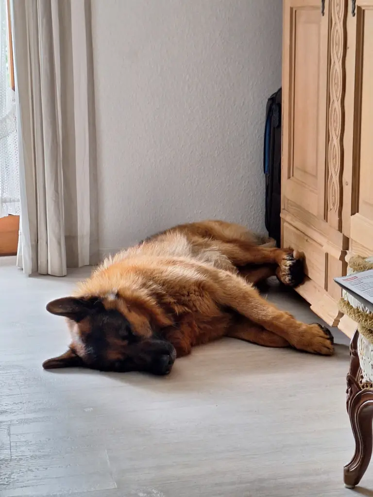 Condolence image of Bernhard