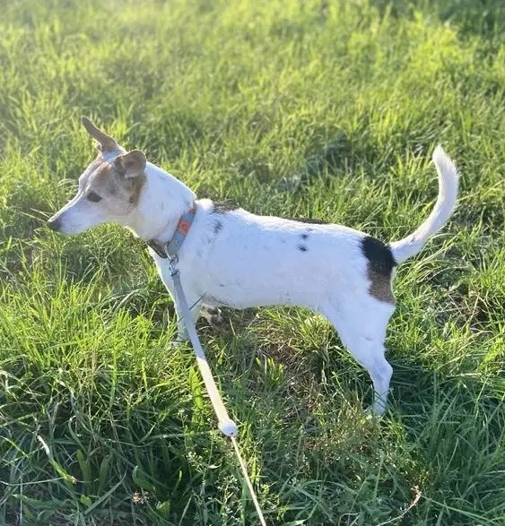 Andachtsbild von Mona mit Lina im ♥️