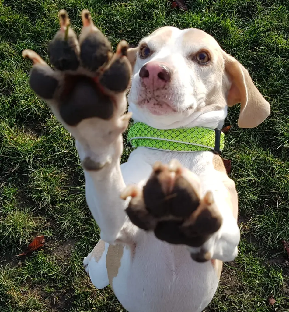 Beim Spiel mit ihren Freunden