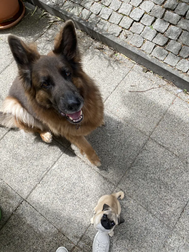 Andachtsbild von Carolin