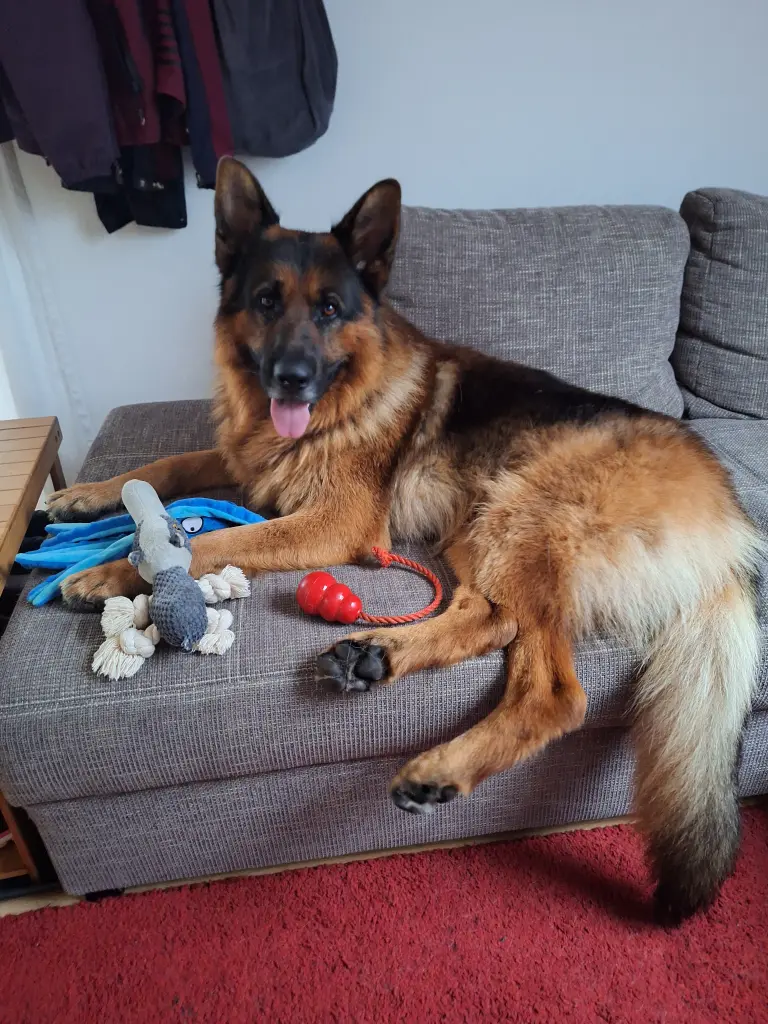 Andachtsbild von Bernhard