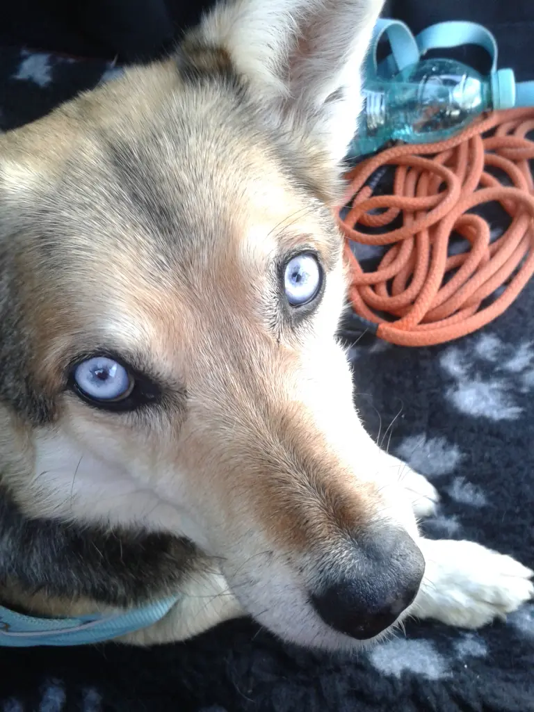 Andachtsbild von Bianca und Lilith