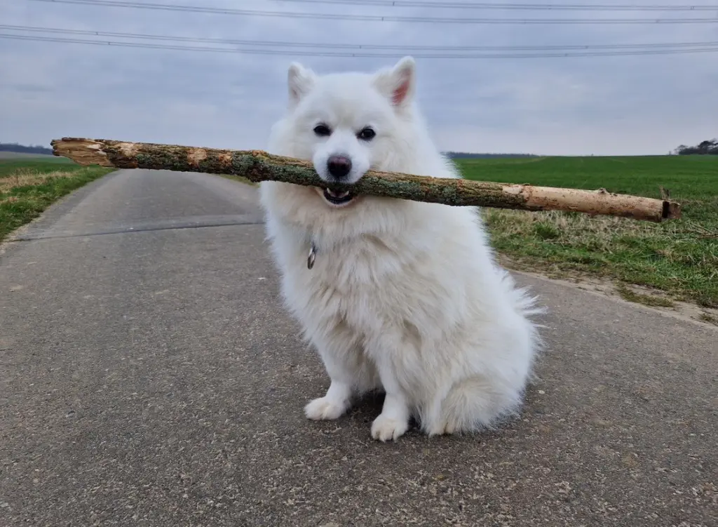 Andachtsbild von Onkel Papi