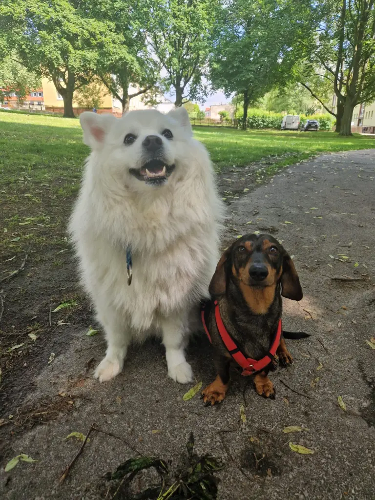 Andachtsbild von Miriam