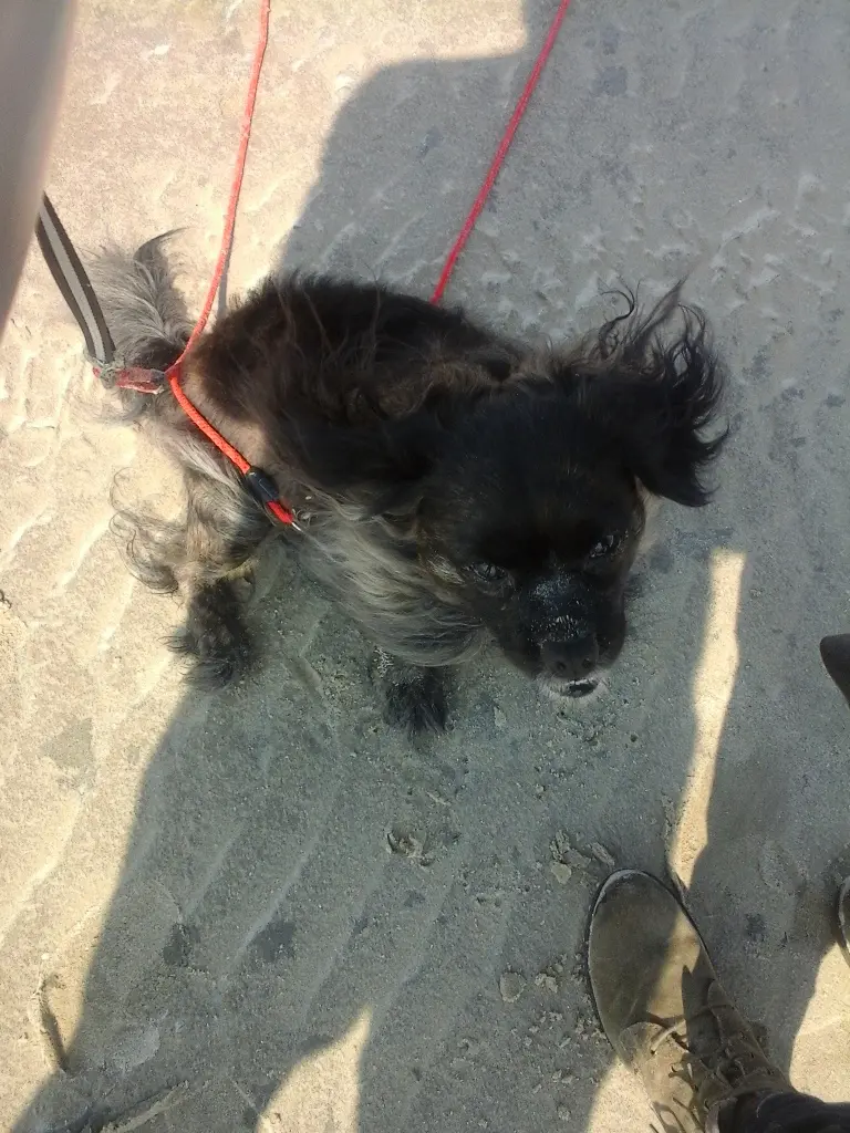 Andachtsbild von Wiebke und Bodo