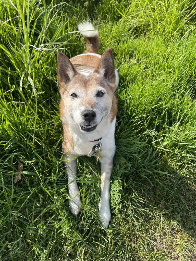 Andachtsbild von Mandy