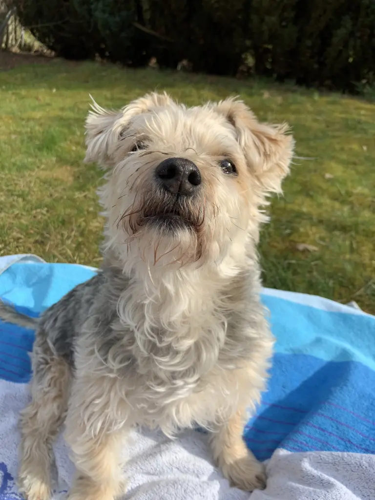 Andachtsbild von Karin mit Kessy