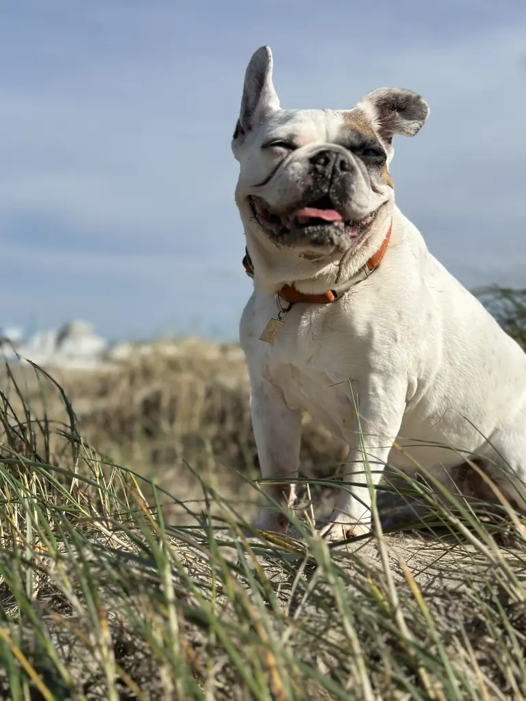 Am Strand haben wir uns immer zuhause gefühlt ❤️