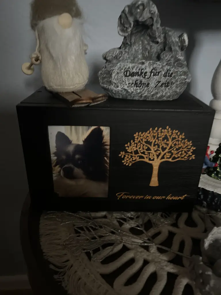 Andachtsbild von Michaela und Barney 🌈