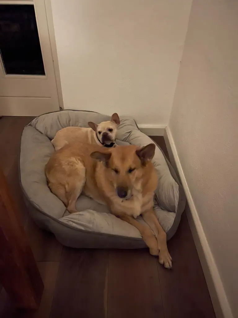 Andachtsbild von Sabine