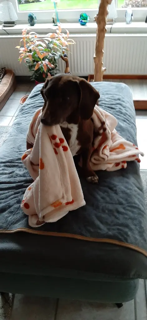 Das ist meine Lieblingsdecke!