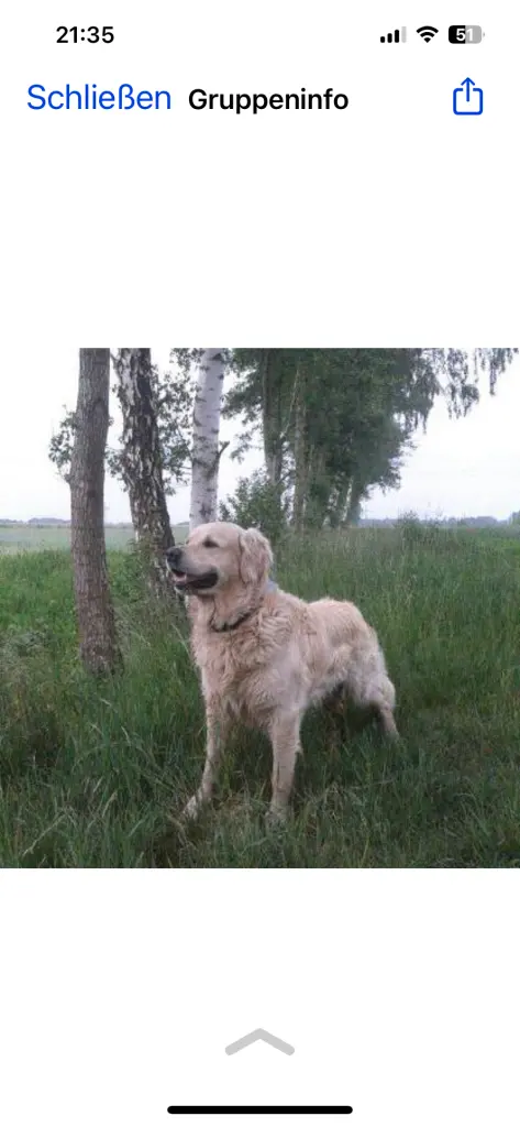 Andachtsbild von Andy und Piet ❤️❤️