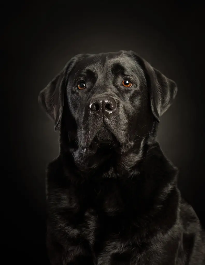 Andachtsbild von Holger Prügel