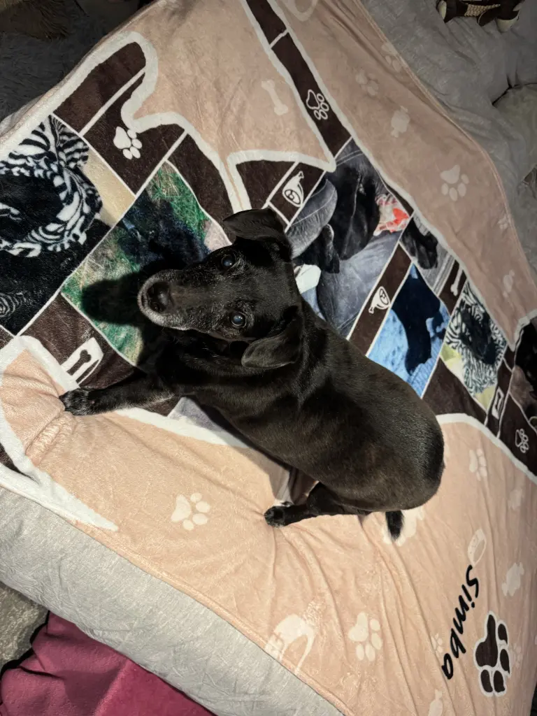 Deine lieblingsbeschäftigung, ausruhen😂.