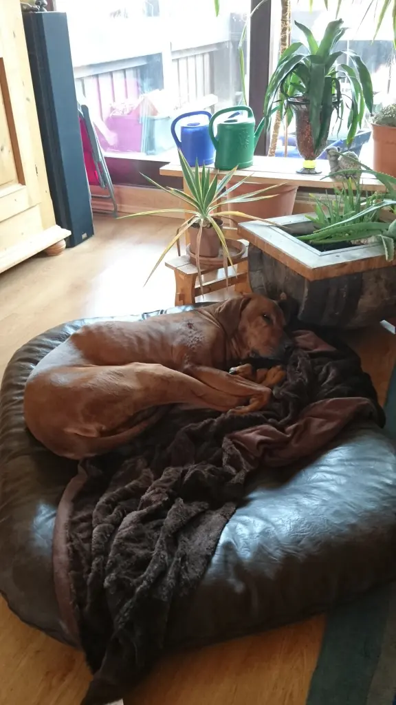 Condolence image of Nadine 