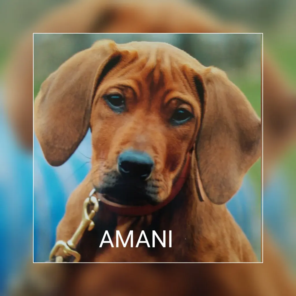 Condolence image of Sabine und Tim  Aschenbrenner 