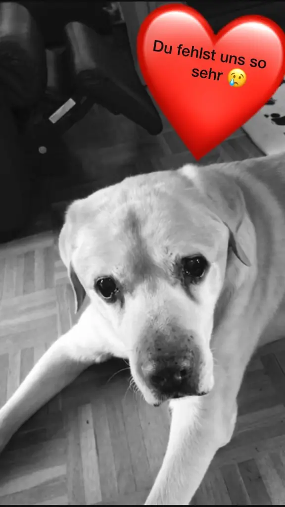 Condolence image of Aleksandra