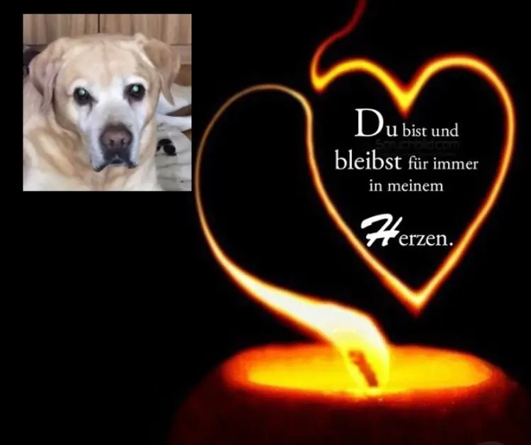 Condolence image of Aleksandra