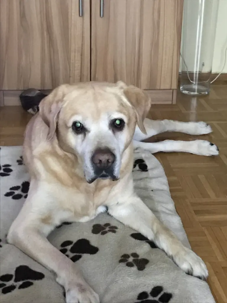 Condolence image of Elzbieta ❤️❤️❤️❤️❤️❤️❤️❤️❤️❤️❤️❤️❤️❤️