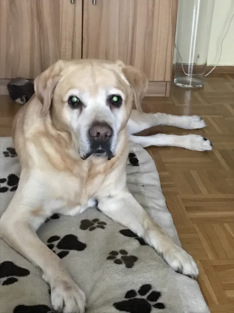 Condolence image of Elzbieta ❤️❤️❤️❤️❤️❤️❤️❤️❤️❤️❤️❤️❤️