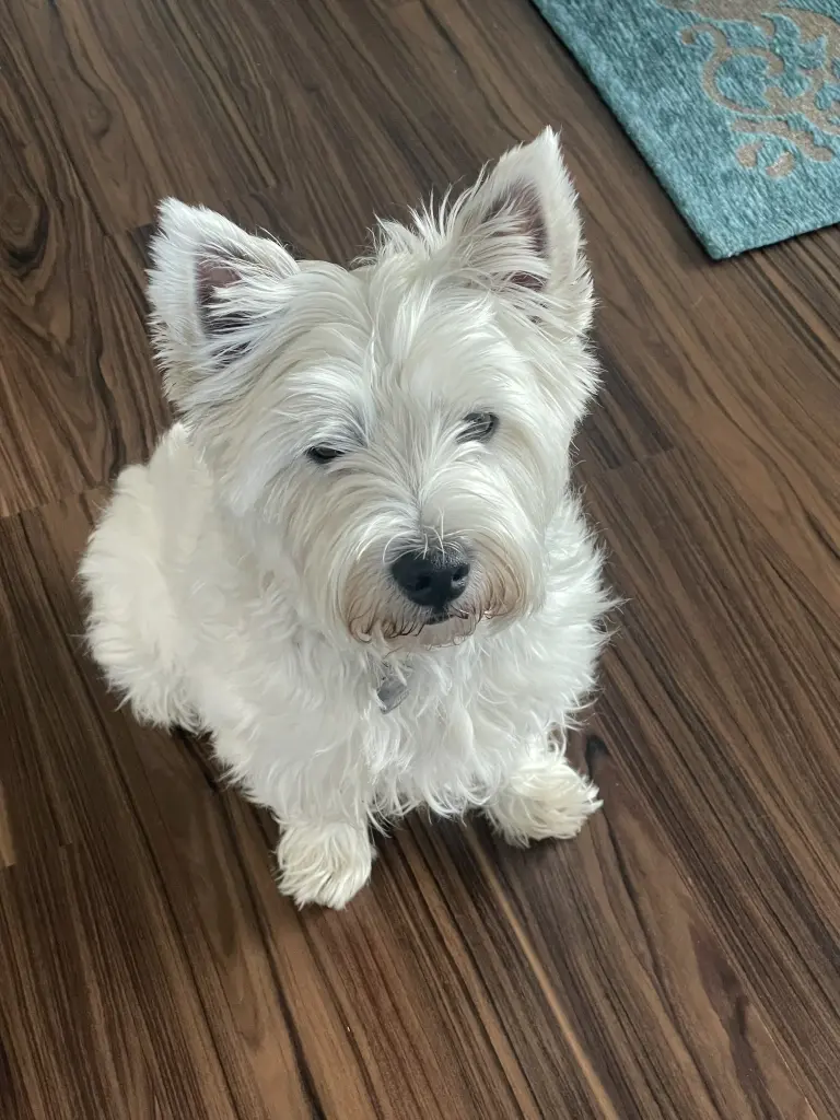 Andachtsbild von Janine Gaulke