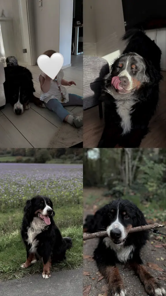 Andachtsbild von Michelle