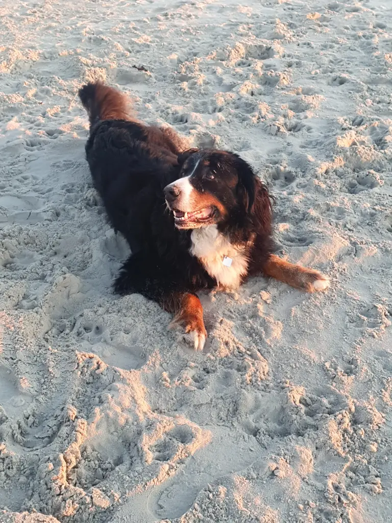 Andachtsbild von Stefanie