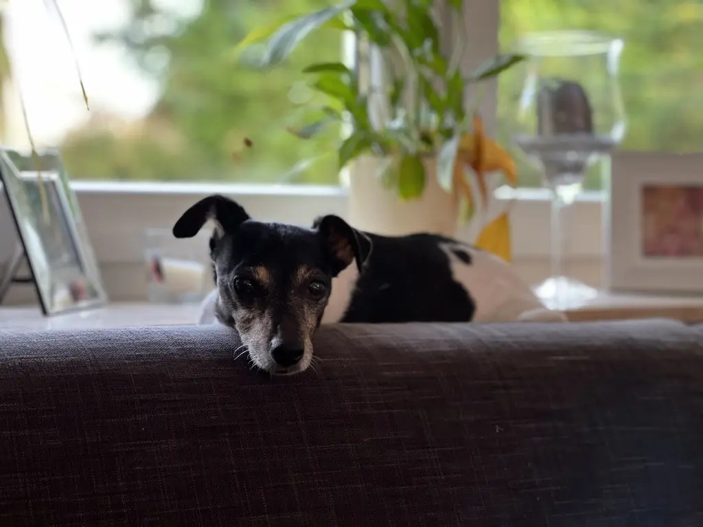 Andachtsbild von Ina mit Mini im 💖