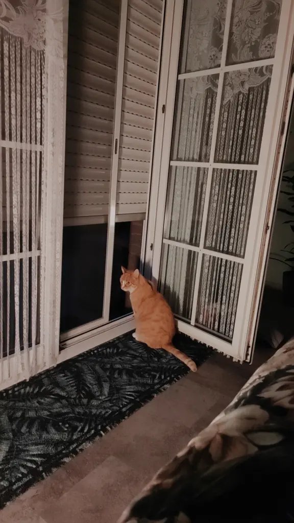 Dein morgendliches Ritual...