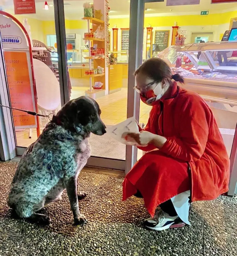 Bild von Herr Rambo Jäger