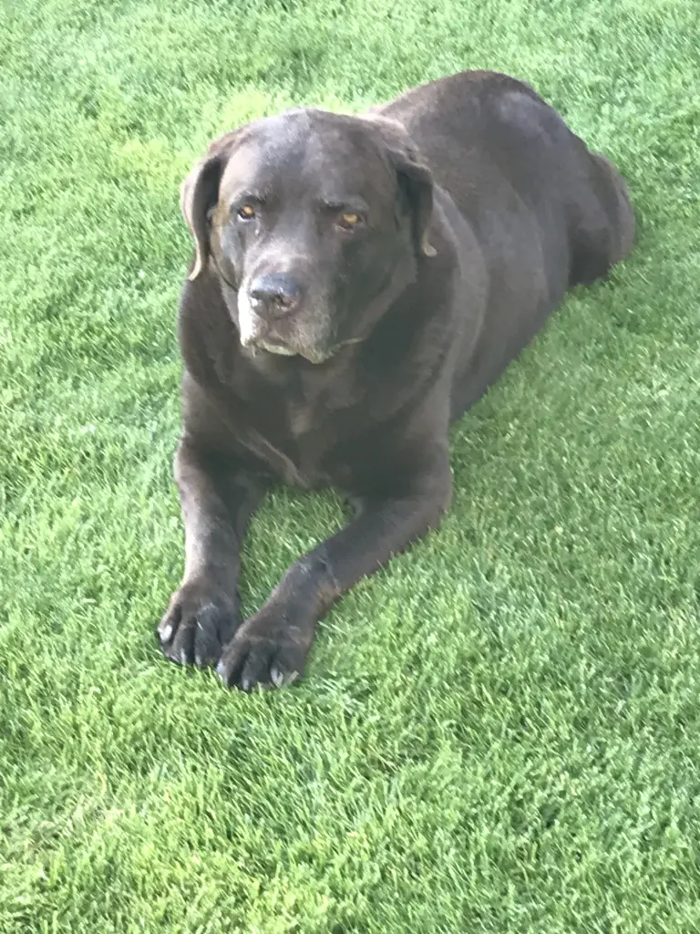 Andachtsbild von Doris Arnold