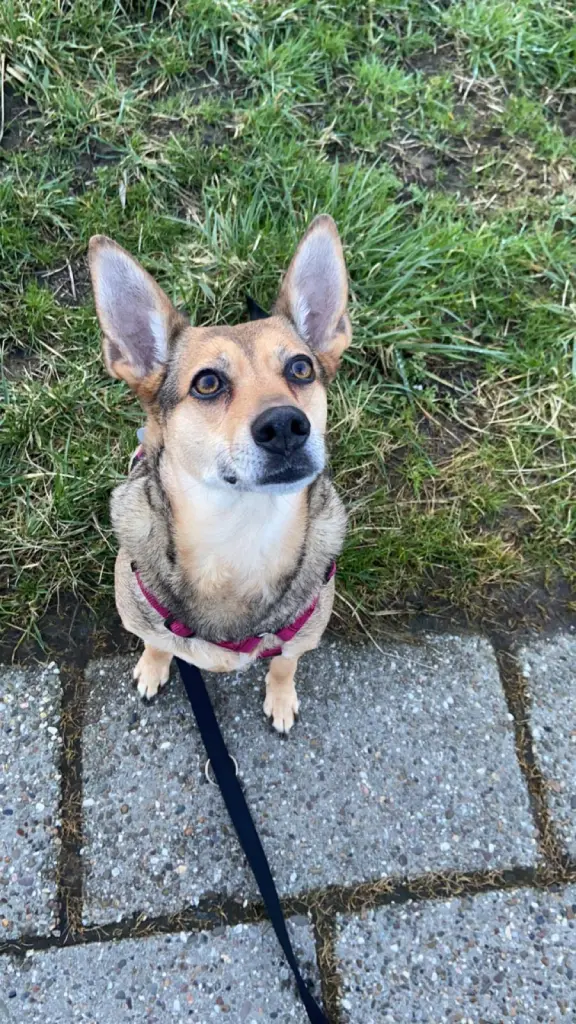 Andachtsbild von Franziska Sandstede