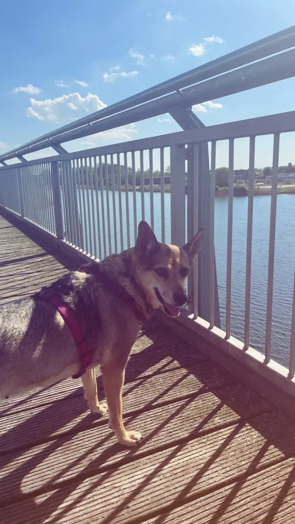 Andachtsbild von Neele Sandstede