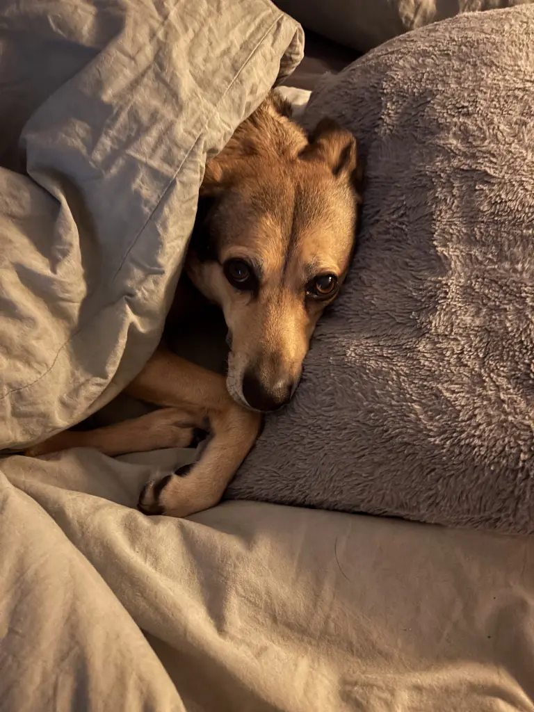 Andachtsbild von Mirco Sandstede