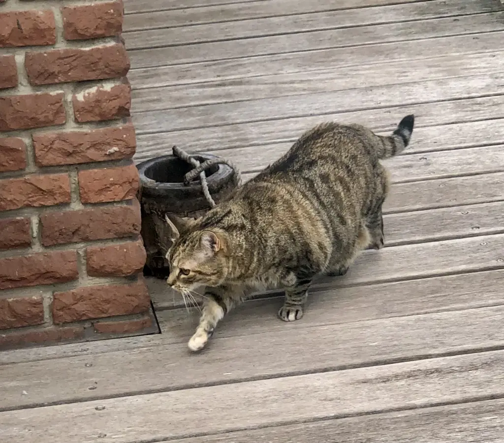 Andachtsbild von Ulrike