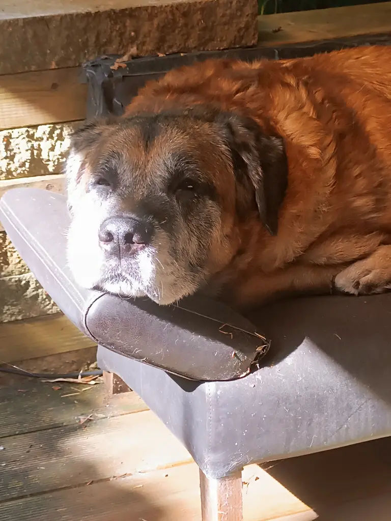 Andachtsbild von Svenja Lissewski