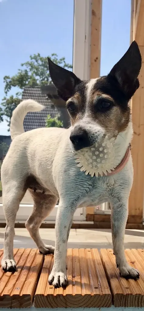 Andachtsbild von Ilka Oremek