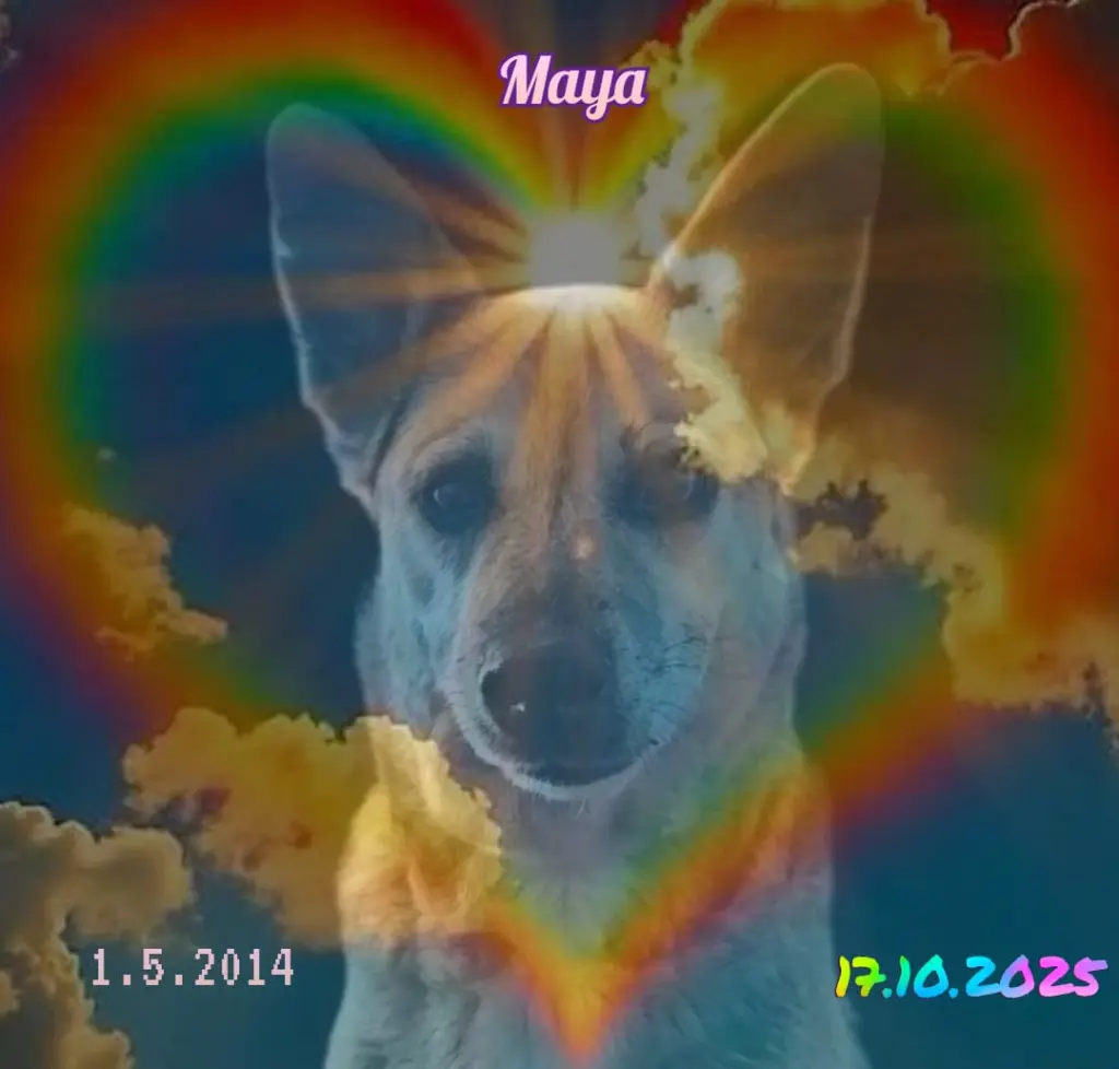 Image from Maya