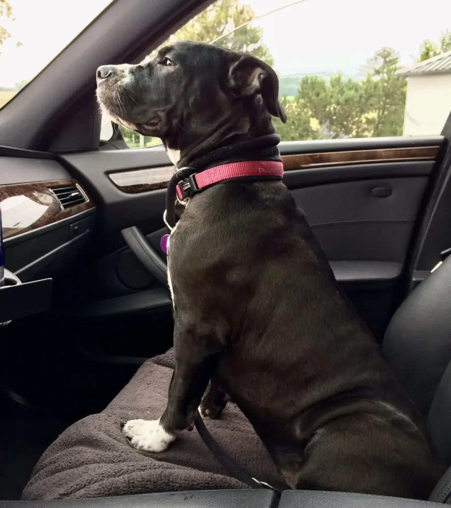 So stolz beim Autofahren