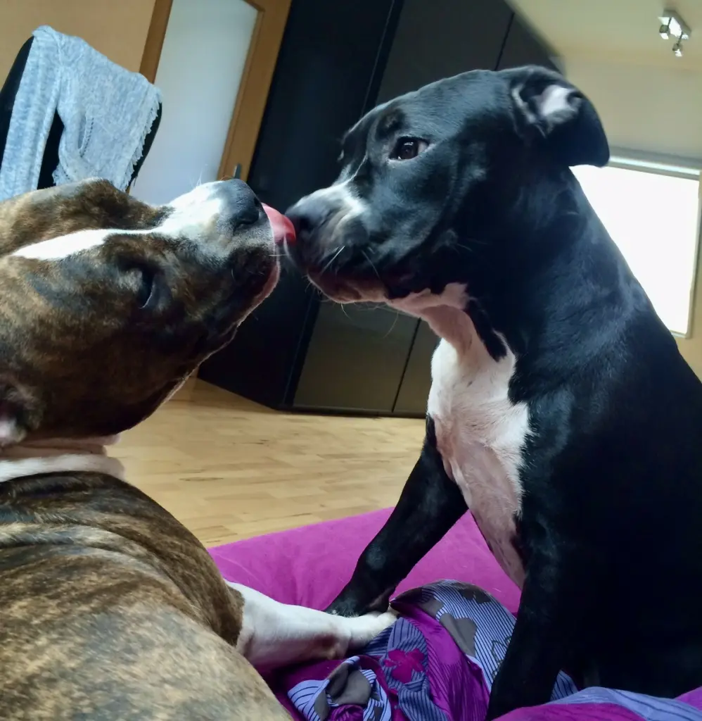 Deine beste Freundin Queeny, jetzt seit ihr wieder zusammen