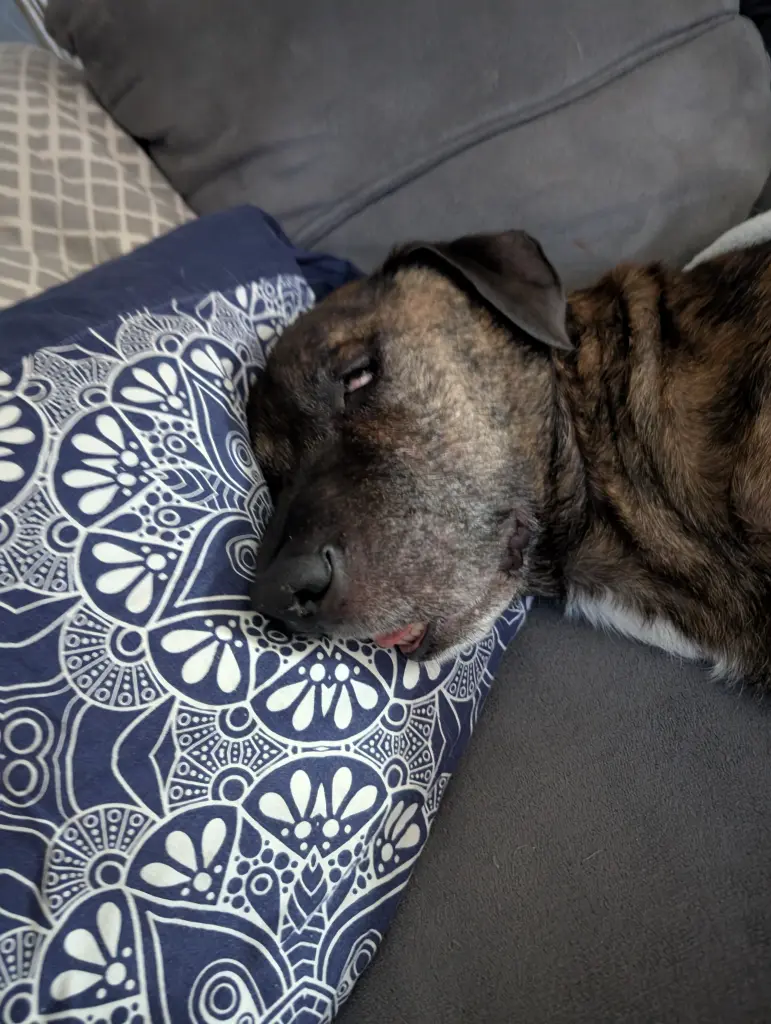 Andachtsbild von Raphaela Ott